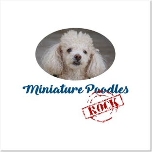 Miniature Poodles Rock! Posters and Art